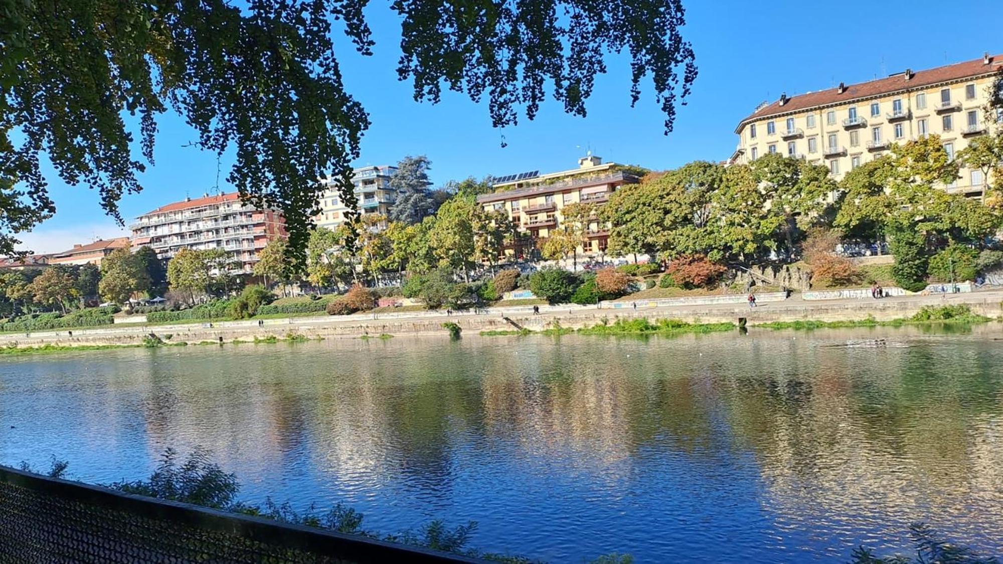 トリノLa Terrazzina, Silenzioso, Zona Piazza Gran Madreアパートメント エクステリア 写真