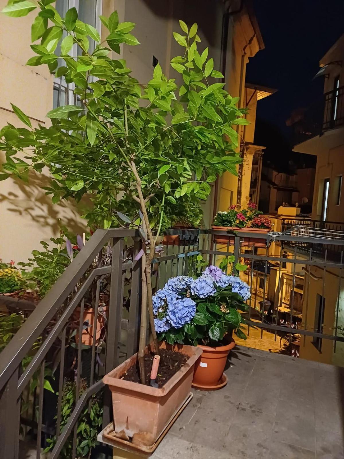トリノLa Terrazzina, Silenzioso, Zona Piazza Gran Madreアパートメント エクステリア 写真